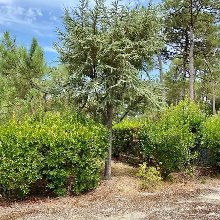 With A Big Idyllic Garden At The Holiday home *